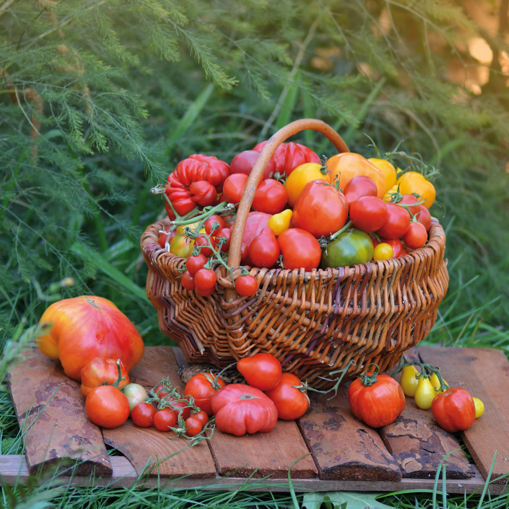 En este momento estás viendo TOMATES RELLENOS ALICANTINOS